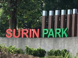 Surin Grove (D19), Terrace #129907622